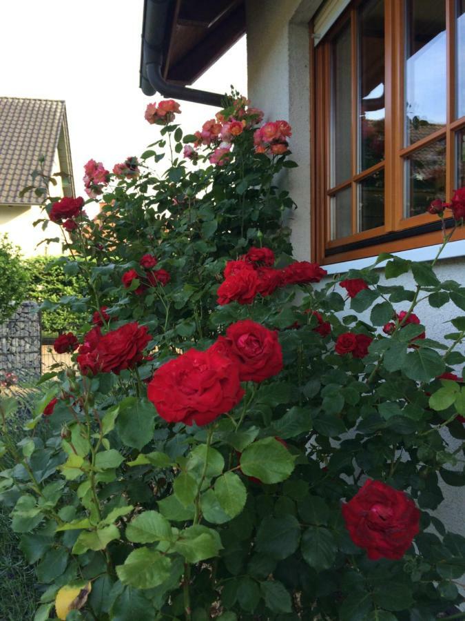 Ferienwohnung Stoerblick Schwerin Raben Steinfeld ภายนอก รูปภาพ